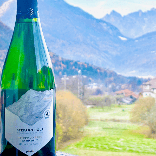 ALTURE: LA MAGIA DELLE DOLOMITI NEL VINO